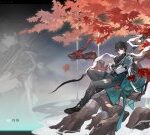 【質問】フォフォの副産物で丹恒完凸しちまったのって使える?